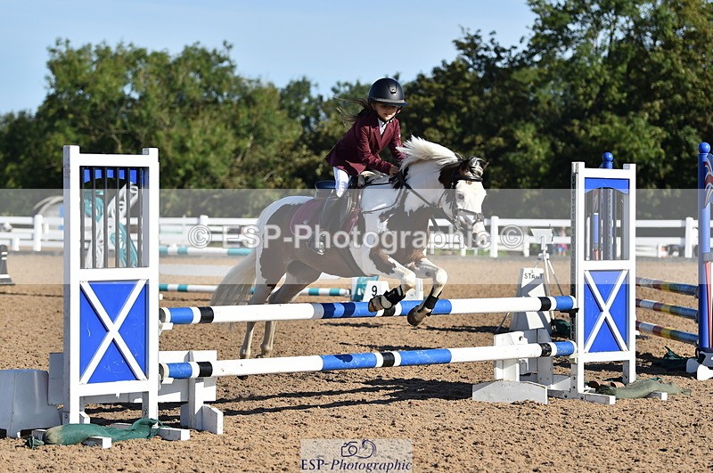 230903A-092710-03514 - Cls 17 Pony Intro 75cm