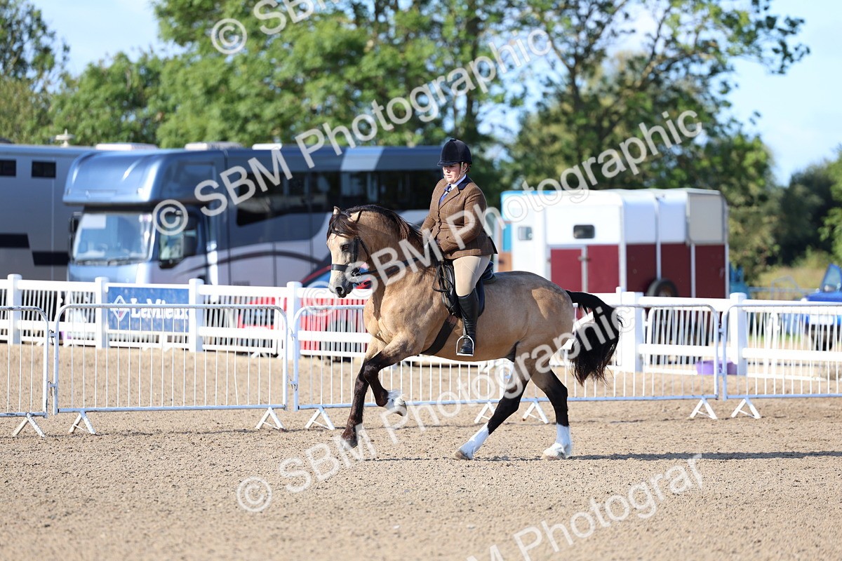 SBM_08867 - Class 302 - Ridden M&M - Large Breeds