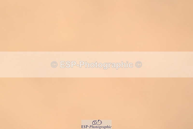 240323A-115732-01683 - DR Prelim 18