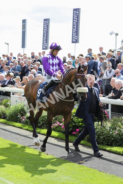 yr17082022r2-3 - Race 2 2.25pm Tattersalls Acomb Stakes