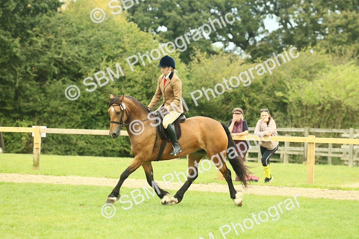 SBM_72148 - S60 - Mountain & Moorland Ridden Large Breeds