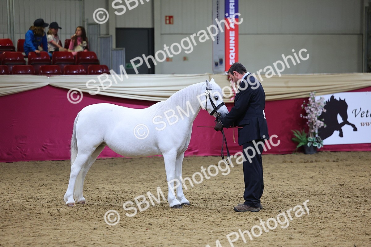 SBM_18655 - Class C Best Turned Out Champ