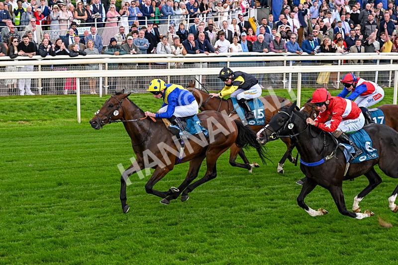 130626-Race 6-Point Of Contact-0648 - Race 6 16.50pm Ice Co Supporting Macmillan Handicap
