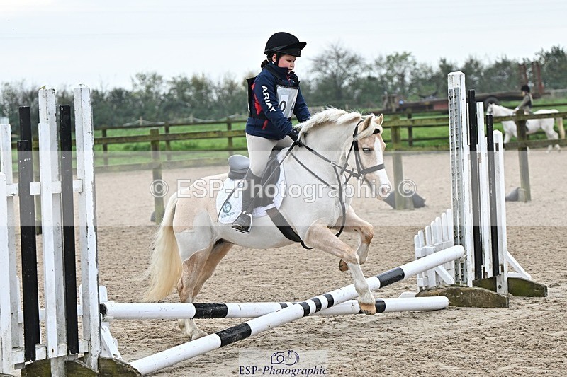 241110-101348-00222 - 40cm Showjumping