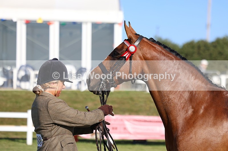 3E7A5113 - Class 1: Rising Star Small Hack/Riding Horses