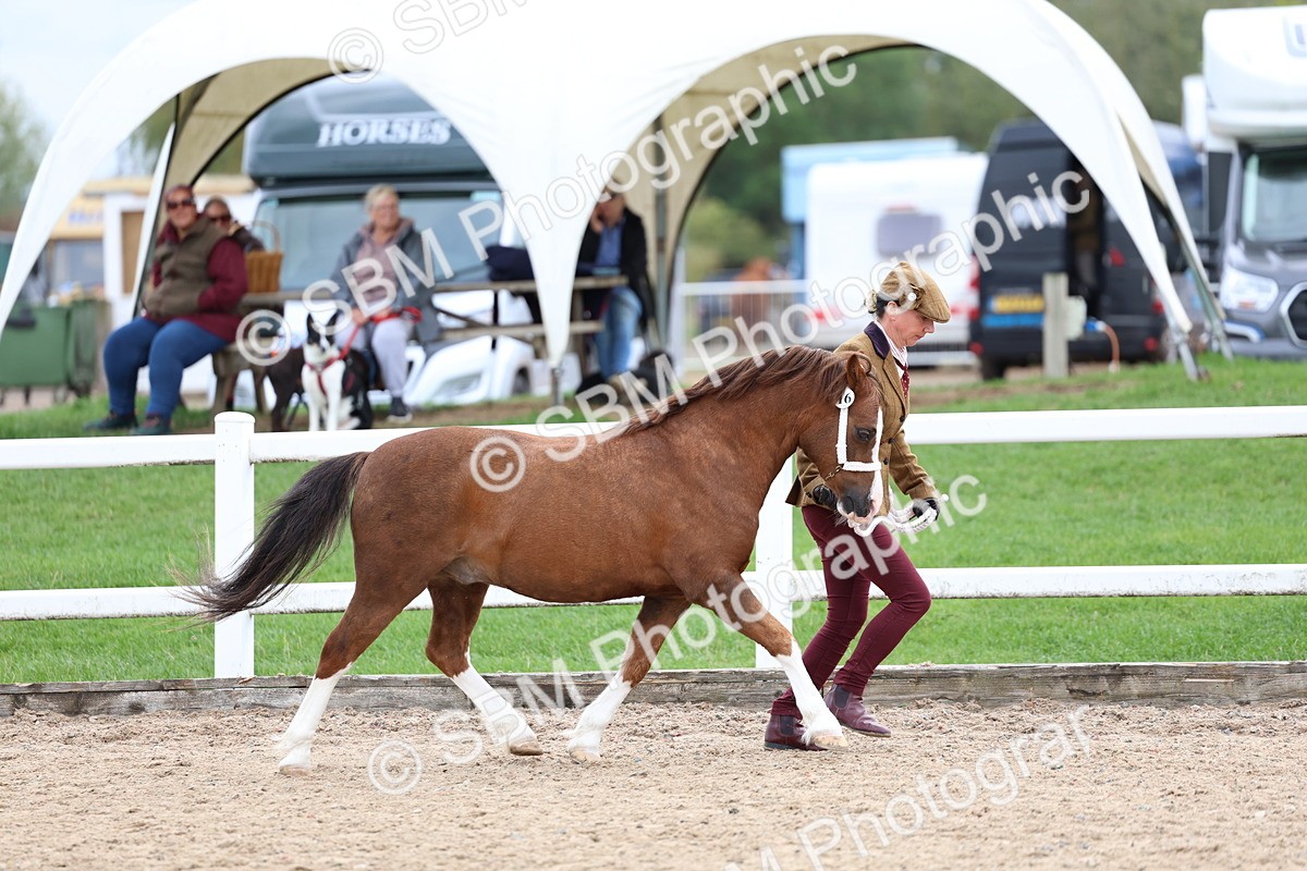 SBM_05879 - Class 29 - IH Veteran Pony