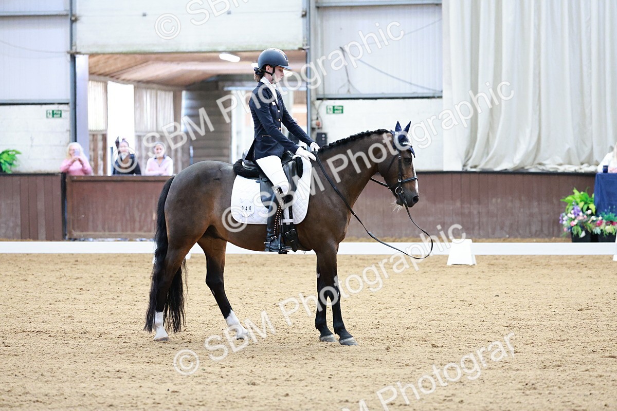 SBM_016817 - Class15 - FEI Pony