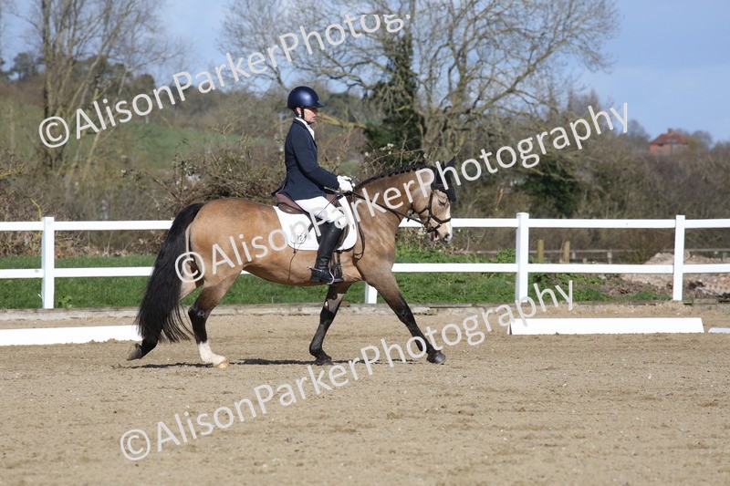 20260314-4257 - DR5 - Novice 1