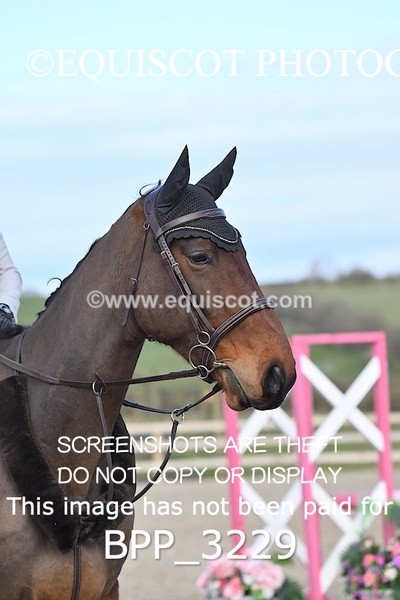 BPP_3229 - CLASS 1  Club/ Unaffiliated 70cms Open