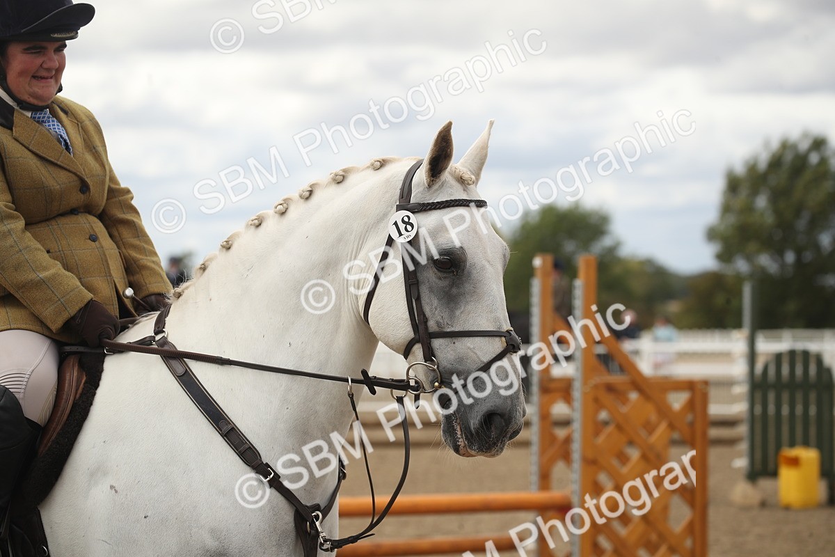 SBM_17692 - Class 508a - Working Veteran 70cm (15-19)