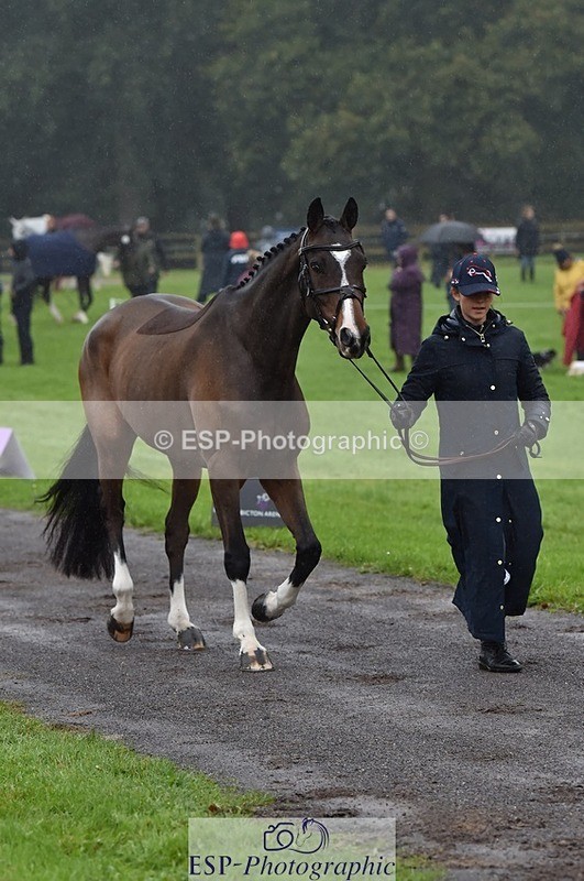 231018-120414-00057 - 007-JEWEL-Charlotte.Cooke-TrotUp