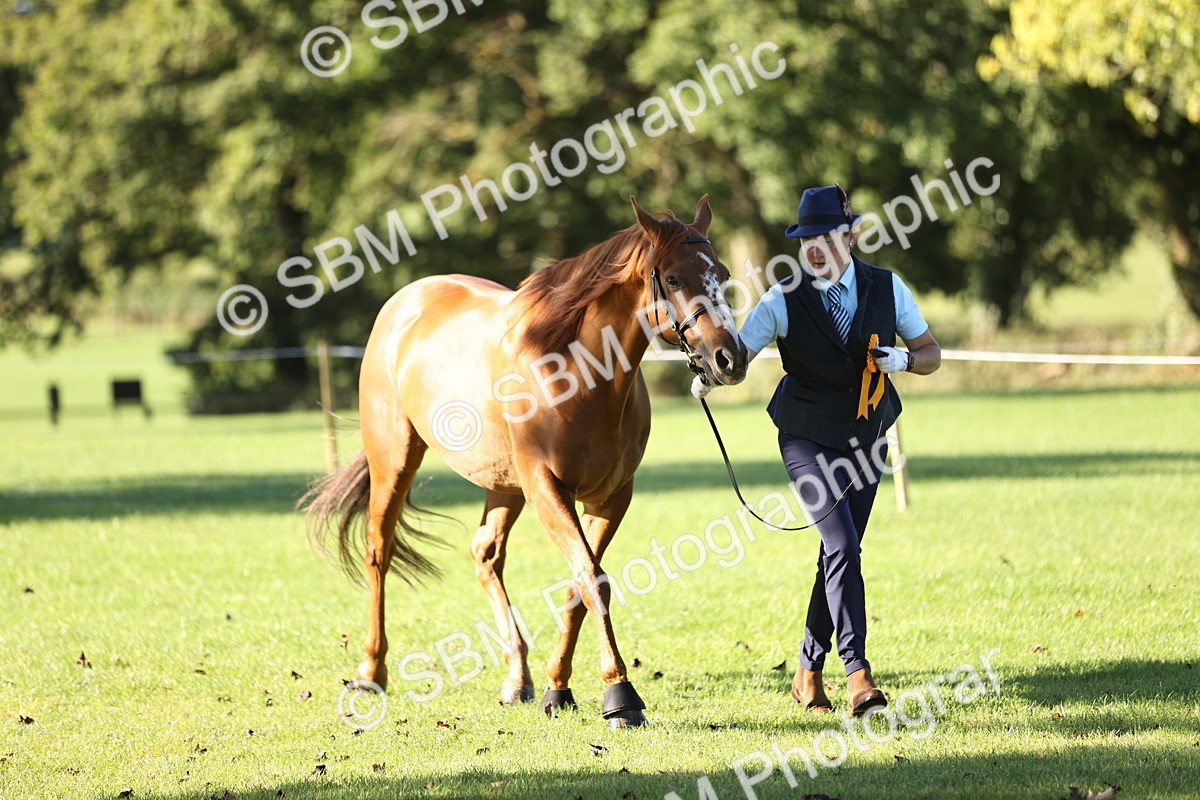 SBM_15794 - S1 - TSR in Hand Horse & Pony Showing