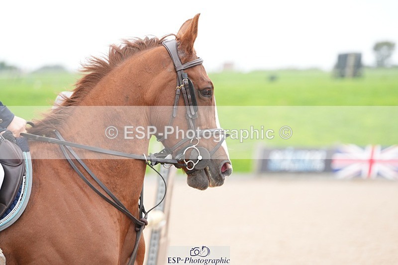 250920-110711-00696 - Cls 8 Pony Discovery