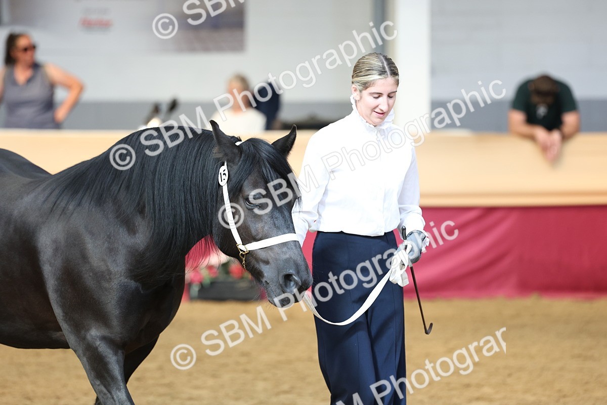 SBM_23346 - Class 903 - Supreme Final - IH Pre Vet