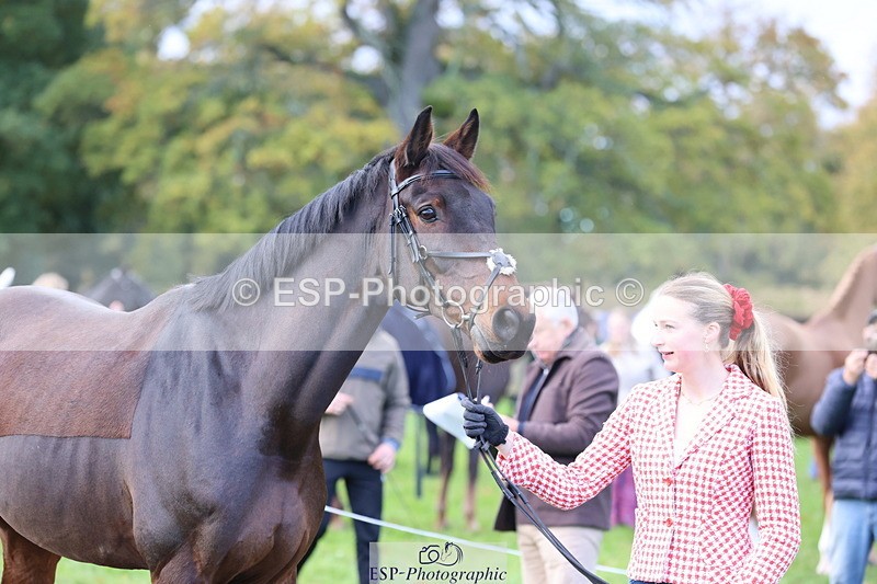 251026A-103334-23098 - E-397-Verity.Leggett