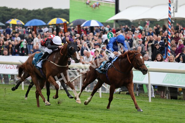 yr22072022r2-24 - Race 2 5.50pm eventmasters.co.uk Stakes