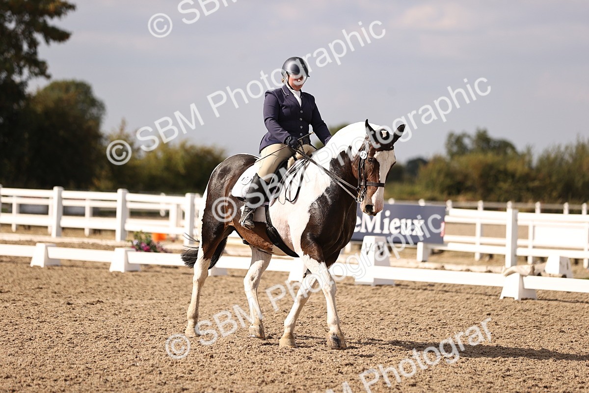 SBM_08092 - Class 39 Medium 3