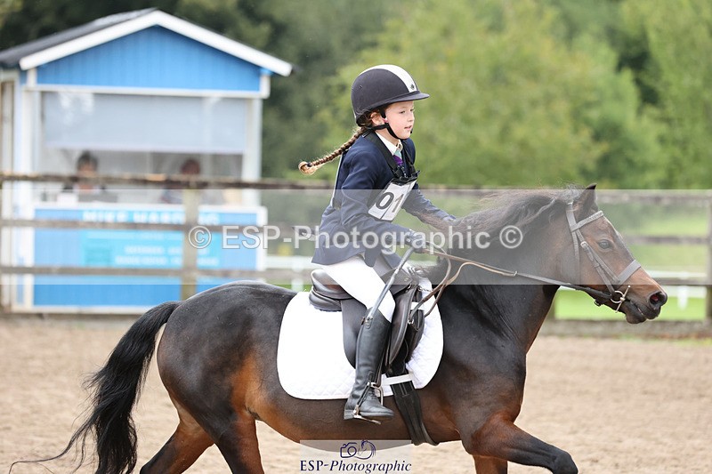 240822X-143036-09236 - 40cm A R1 14.20 to 15.30