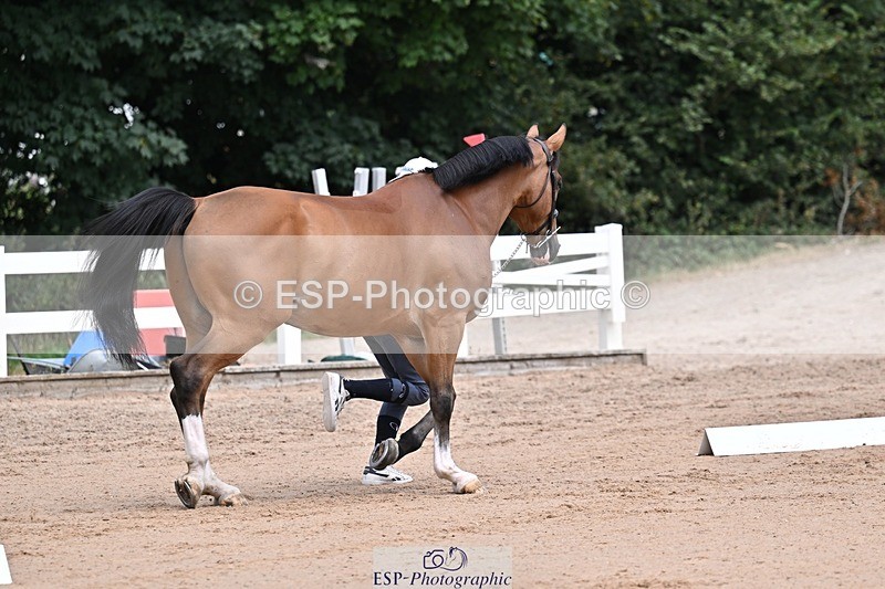 250716-130235-00281 - Trot Up 12.30 to 1.30