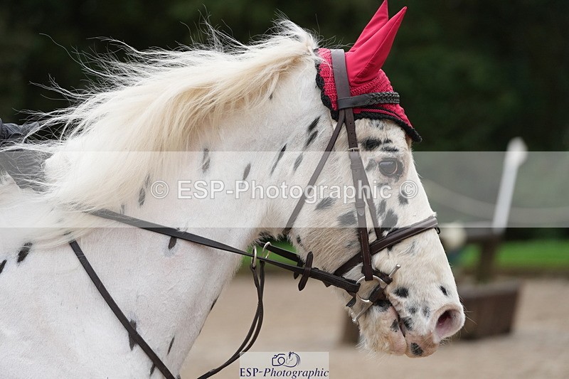 260301A-092950-01609 - NSEA 70-75cm