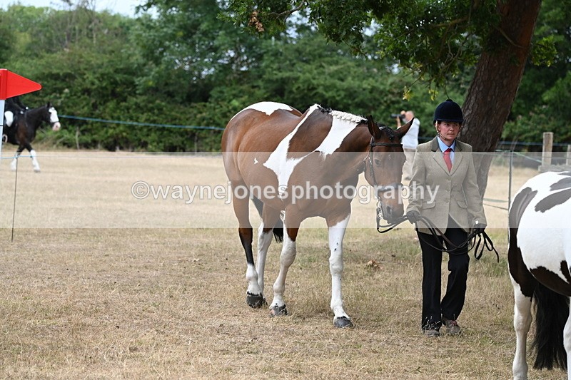 WJ6_7935 - Class 10 Coloured in Hand