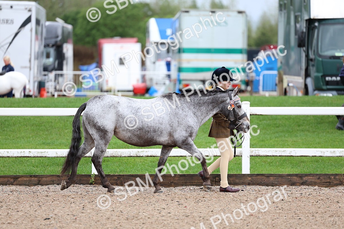 SBM_00216 - Class 13 - Young Handler