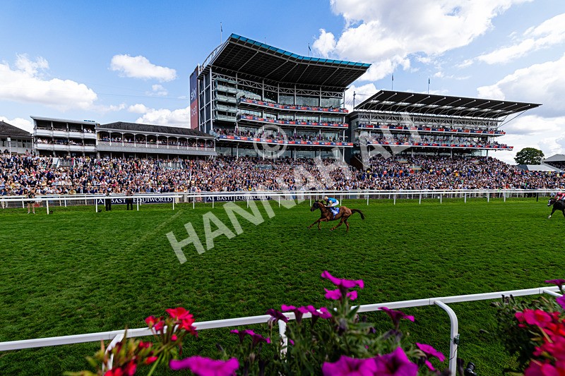 220826-Race 1-Archivist-0190 - Race 1 13.50pm Sky Bet Strensall Stakes