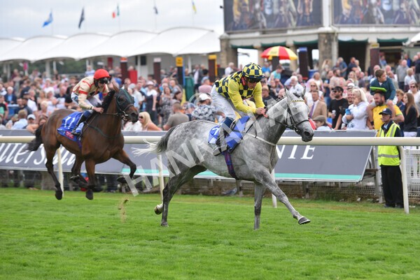 yr17082022r5-49 - Race 5 4.10pm Sky Bet Stayers Stakes