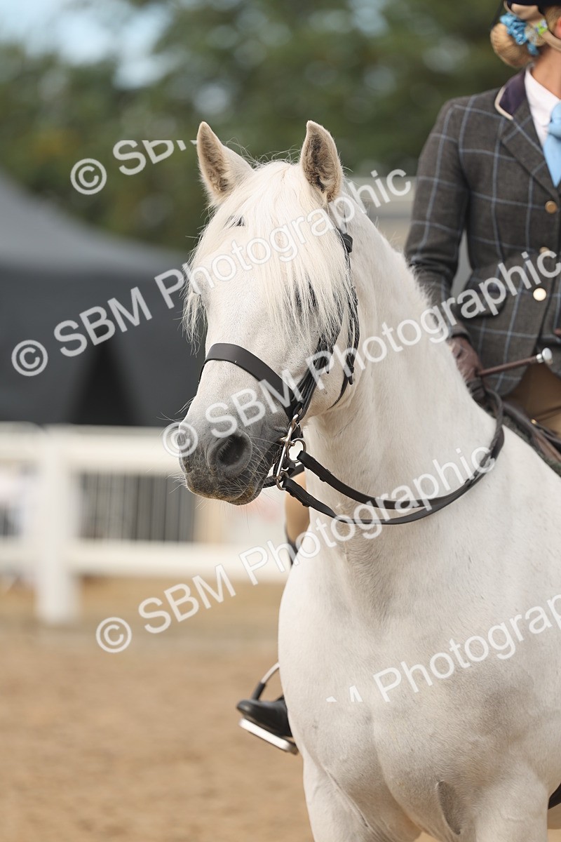 SBM_02001 - Class 14 - Ridden M&M Wildcard