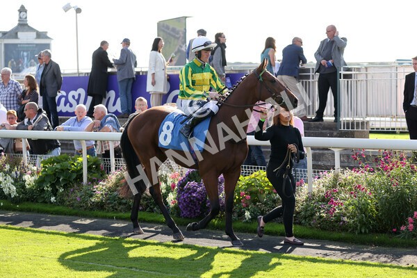 yr08102021r2-1 - Race 2 2.40pm Racing to School EBF Novice Stakes