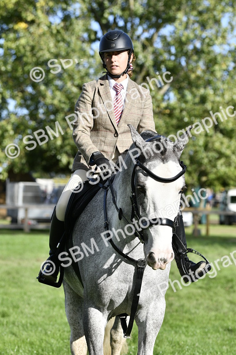 SBM_52208 - S35 - Working Hunter & Working Show Horse