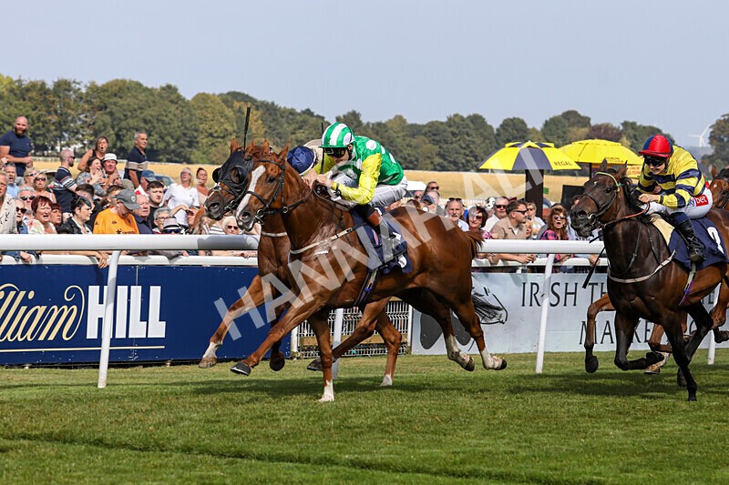 310824-Race 3-Frank The Spark-1331 - Race 3