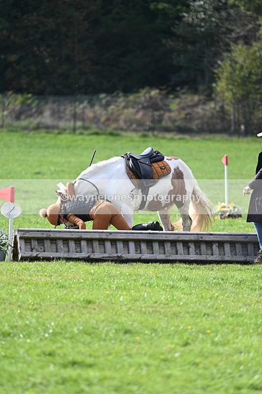 WJ7_3977 - 40cm Time 10:26 to 10:42