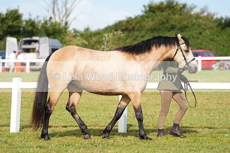 DSC04898 - Class 48: NPS M&M 2/3 year olds