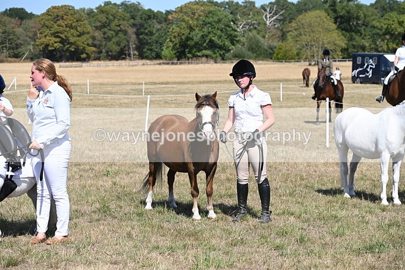 WJ6_9526 - Class 40 Cheekiest Pony/Horse