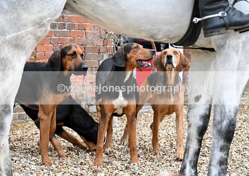 WJ7_9365 - Berks & Bucks Lead Rein - Hendred House 22-12-14