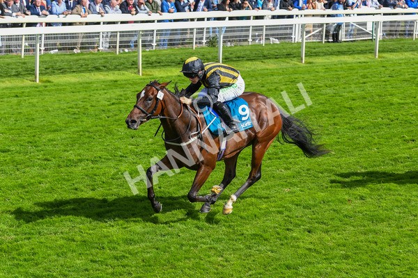 150723-Race 5-Specific Times-0543 - Race 5 4.20pm John Smith's Nursery Handicap
