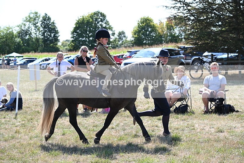WJ6_7803 - Class 36 Lead Rein