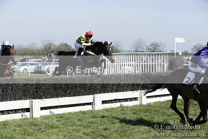 PtP 260317 52 - Mendip Farmers Point-to-Point Ston Easton 26/03/17