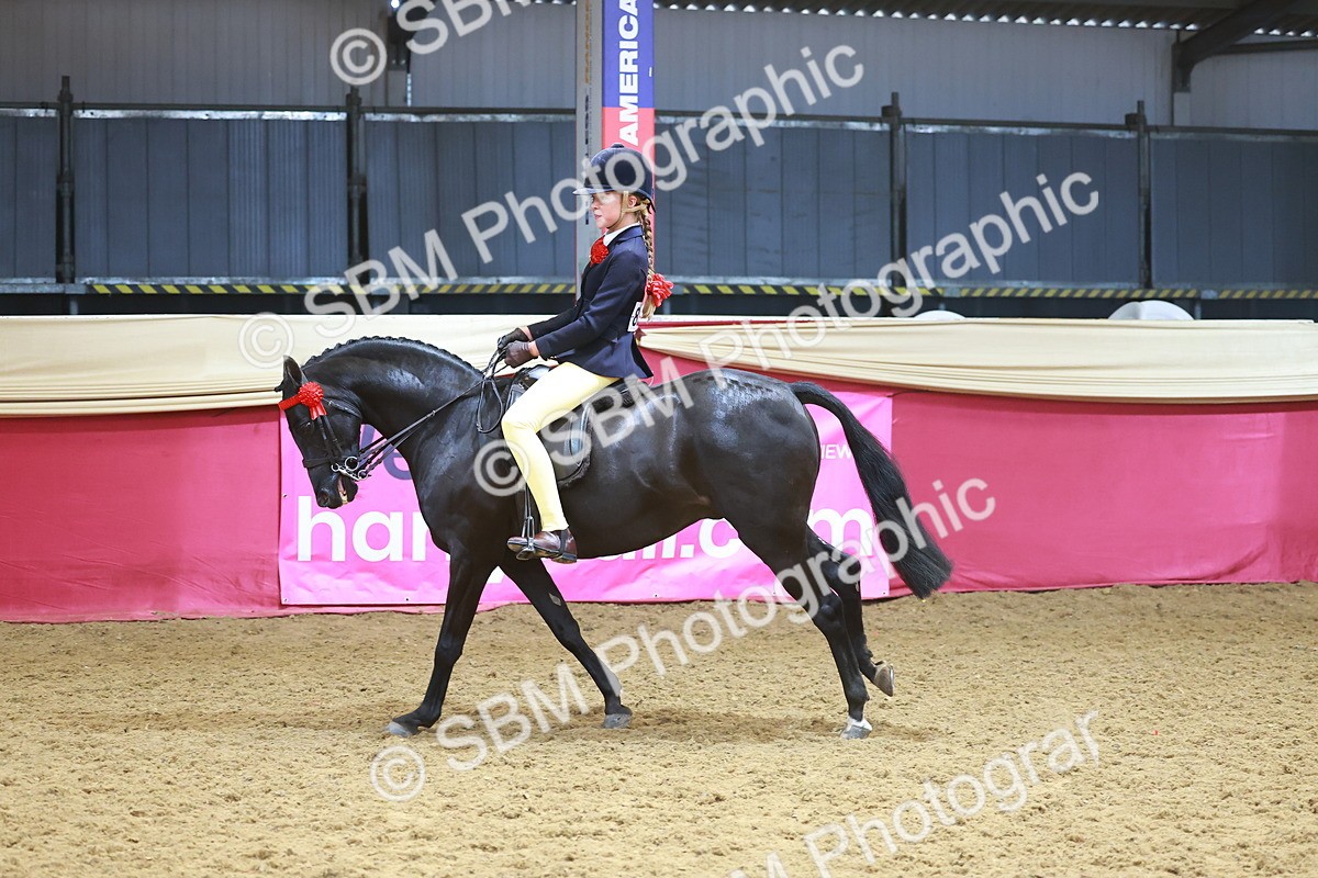 SBM_12485 - Class 103 - HOYS Veteran Qualifier - Ridden Pre Vet