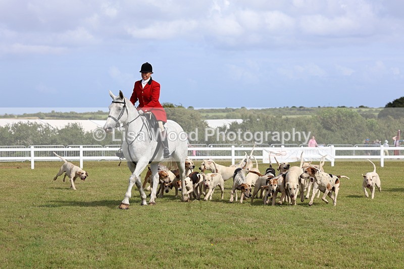 3E7A3371 - Parade of Hounds