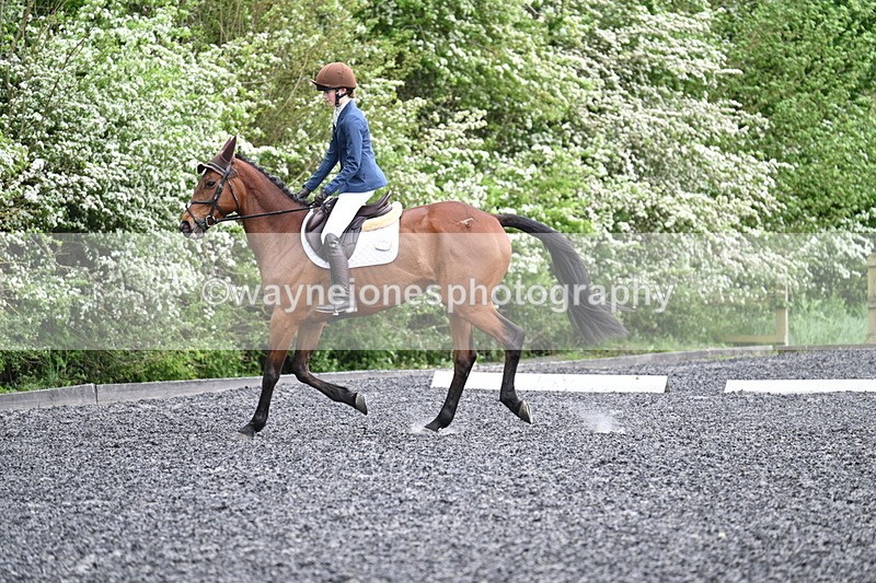 WJ7_1318 - Time 14:16 to 14:55