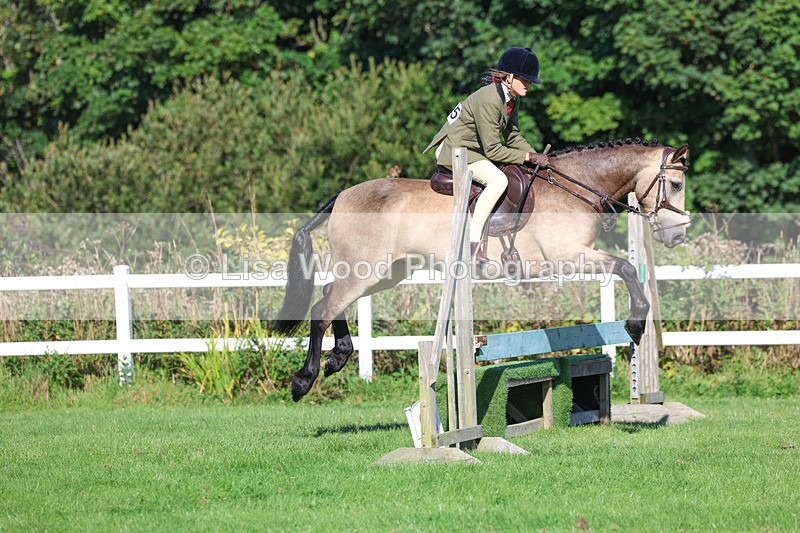 3E7A7738 - Class 2: Open Working Hunter pony