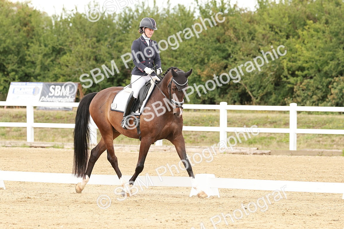 SBM_001920 - Class 8 - Elementary 6