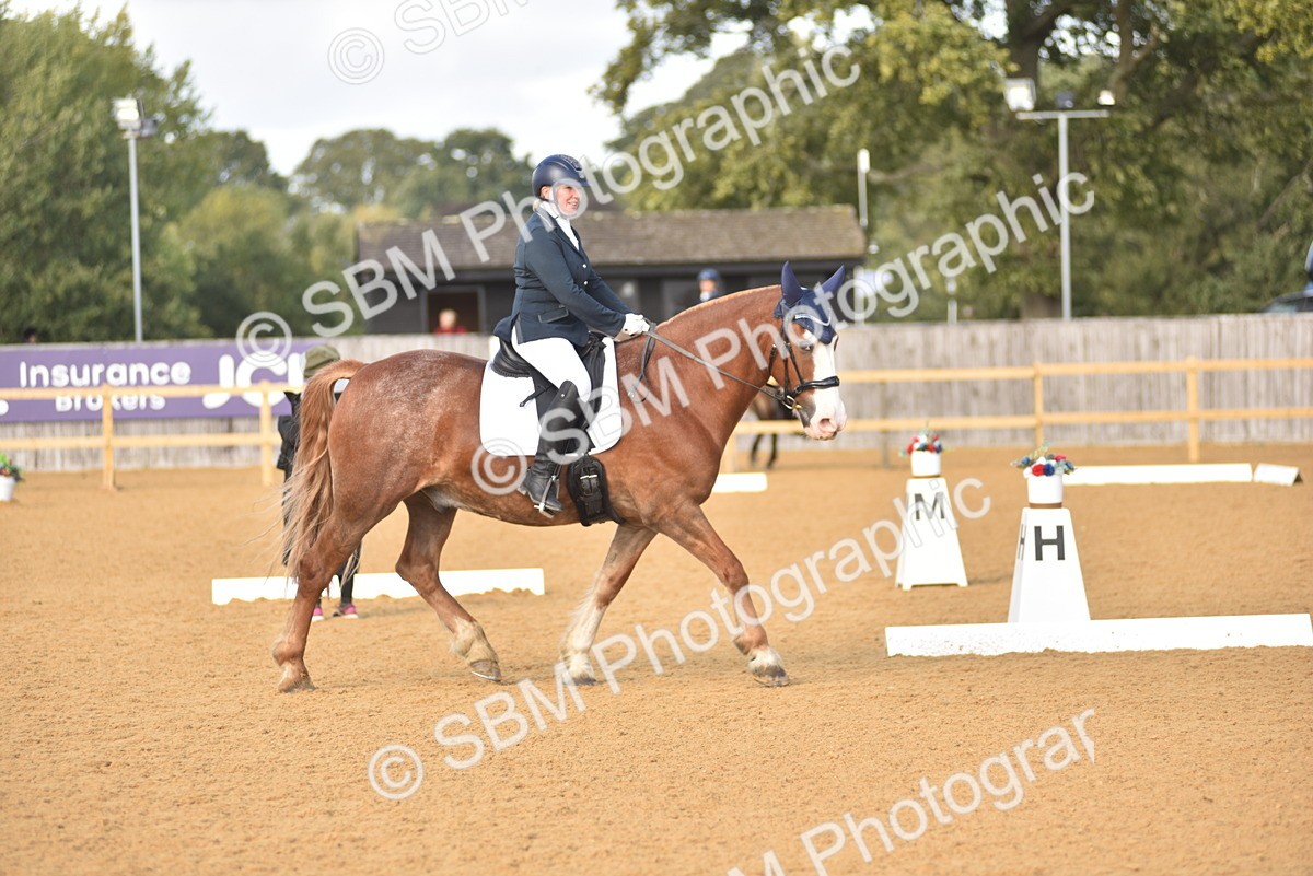 SBM_24376 - D4 - Small Tour Championship Intro 4