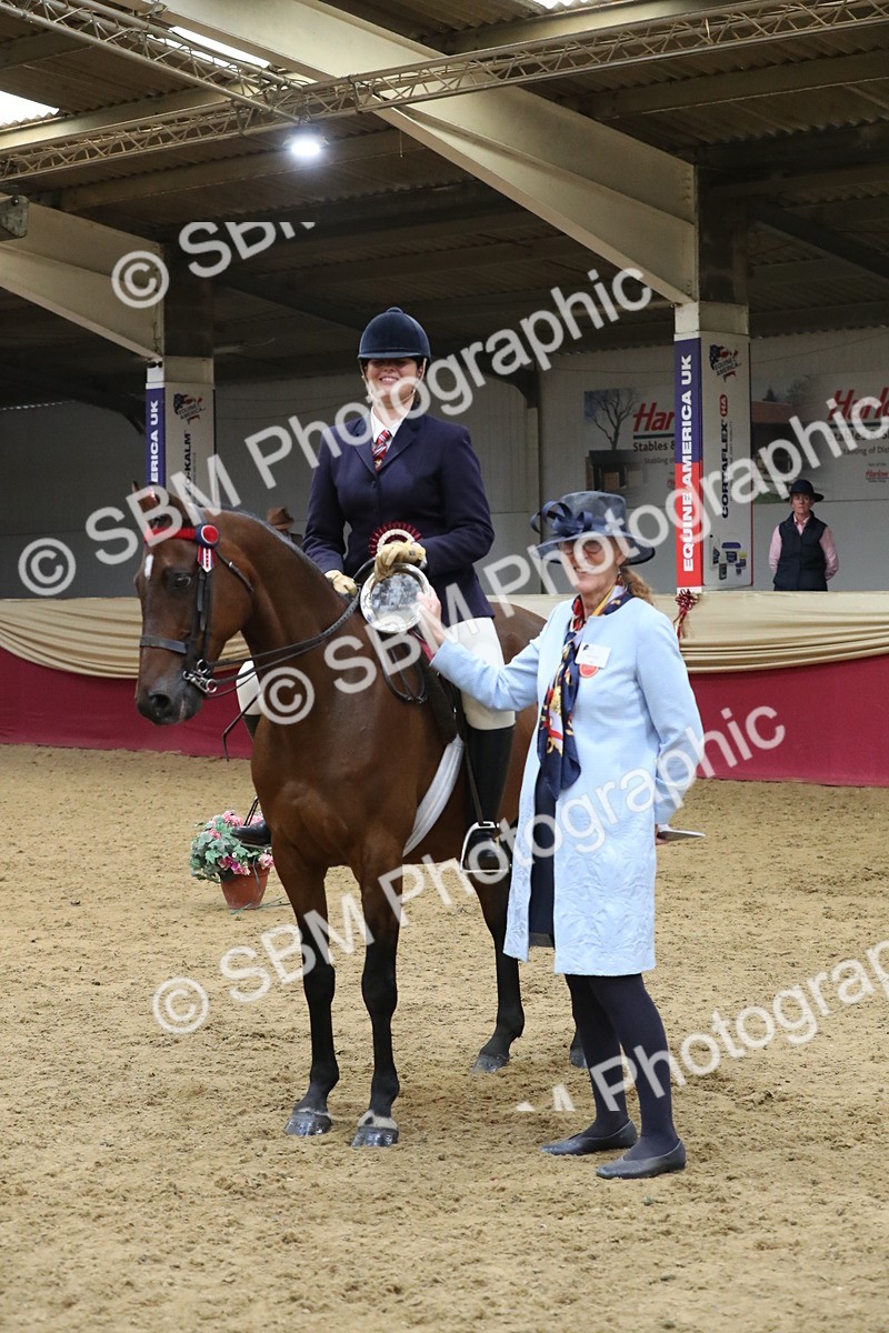 SBM_08463 - Class 11R Regional Ridden Veteran