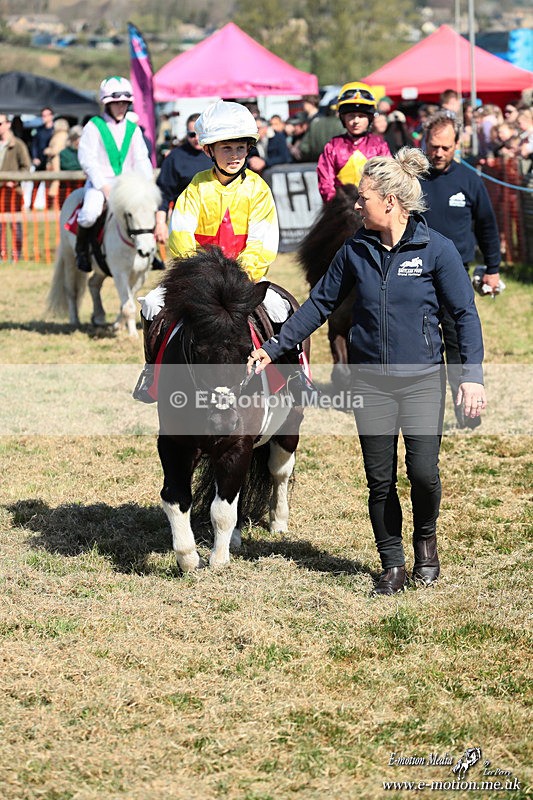 Shet 060426 112 - Shetland Pony Racing Paxford Races Easter Mon 06/04/26