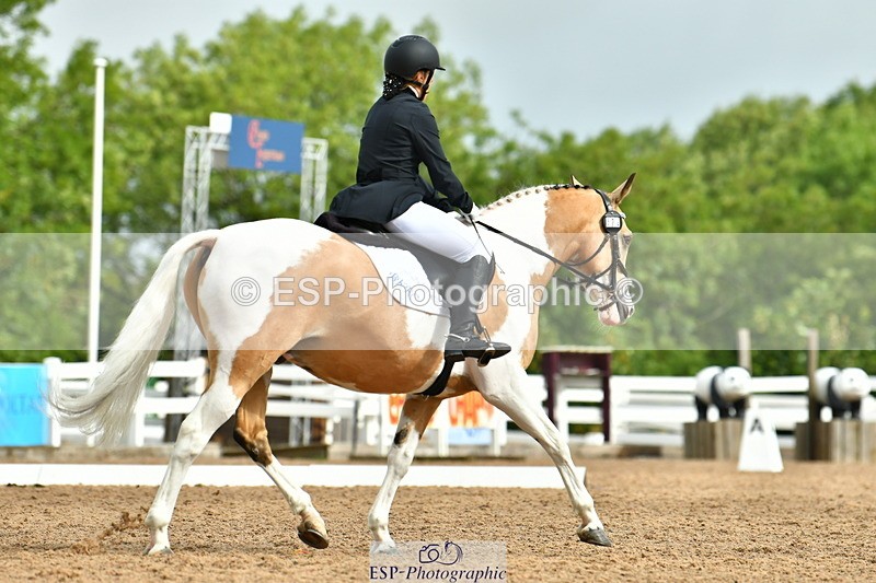 230708A-093907-02180 - Prelim 13