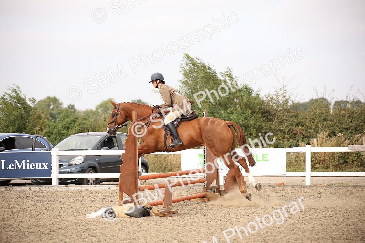 SBM_17077 - Class 409b - Working Veteran 80cm (20+)