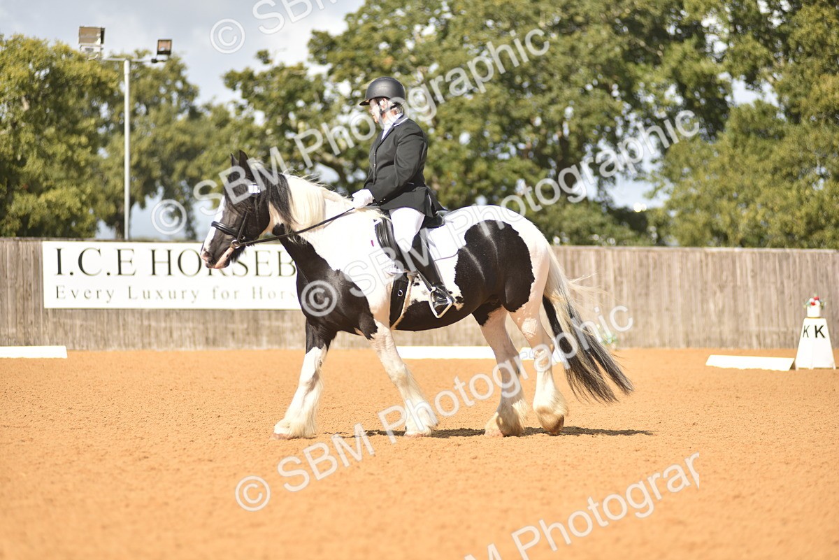 SBM_03378 - D4 - Small Tour Championship Intro 4